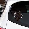 JT43# Bildekaler Svart Katt Husdjur Djur Vattentät Vinyl Dekal Biltillbehör Dekor
