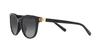 Sunglasses HC8350U CD478 50028G BLACK 54 [Coach] Women's
