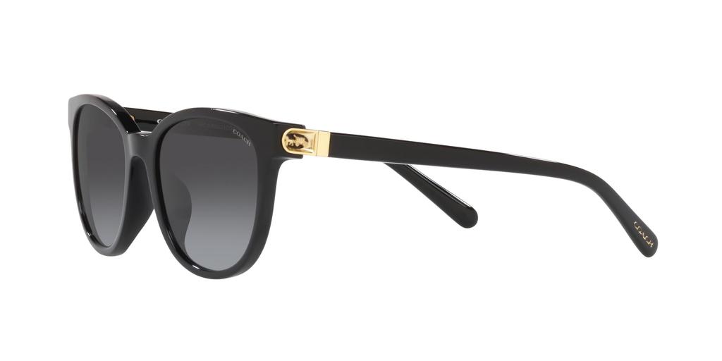 Sunglasses HC8350U CD478 50028G BLACK 54 [Coach] Women's