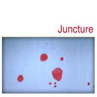 

CD VARIOUS - Juncture PI12 Pi Recordings 2004 US Dance & Electronica Used