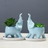 Elephant Decorative Ceramic Flower Pot for Succulents – Mini Cactus Planter with stand, Elegant Home Garden Decor