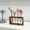 Pflanzen Reagenzglas Hydroponik Vase Wassergezüchtetes Blumenarrangement Pflanzenbehälter Einfacher Holzrahmen Dekorationen Kreative Glasvasen