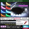 Kaito Denshi LED Strip High 120 Constant Front Decorative Long Cable Warm White Lights, 12V, Ultra-thin, 2.5mm width, Density, LEDs/m, Non-waterproof,