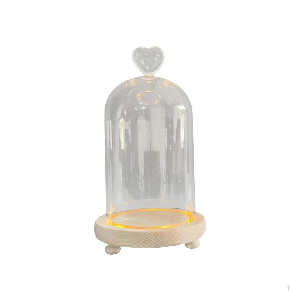 Clear Glass Cloche Dome Bell Jar Dustproof Display Case Flower Cover with Wooden Base
