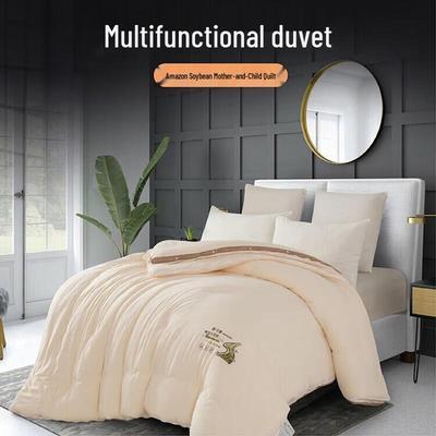 Fang En All-Season Soy Fiber Blend Combination Duvet