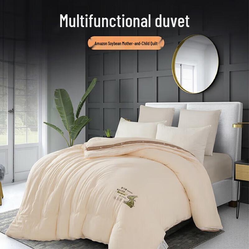 

Fang En All-Season Soy Fiber Blend Combination Duvet