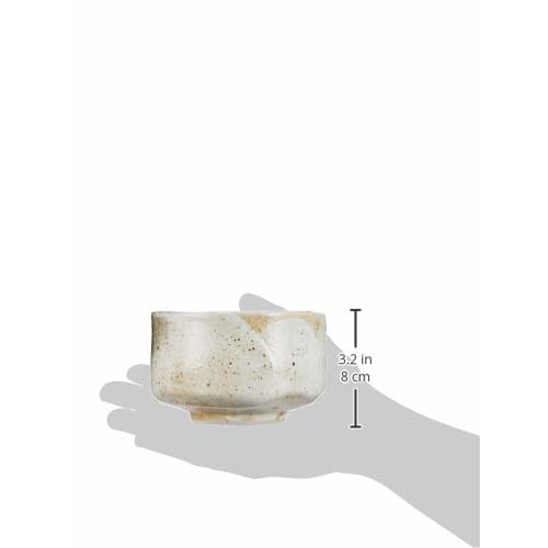 Ale-net Matcha Bowl, White, 12 x 7.5cm, Yuki Shino, Mino Ware