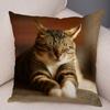 Cute Pet Animal Print Pillowcase Funny  Cat  Decoration Car Sofa Home Cushion Cover