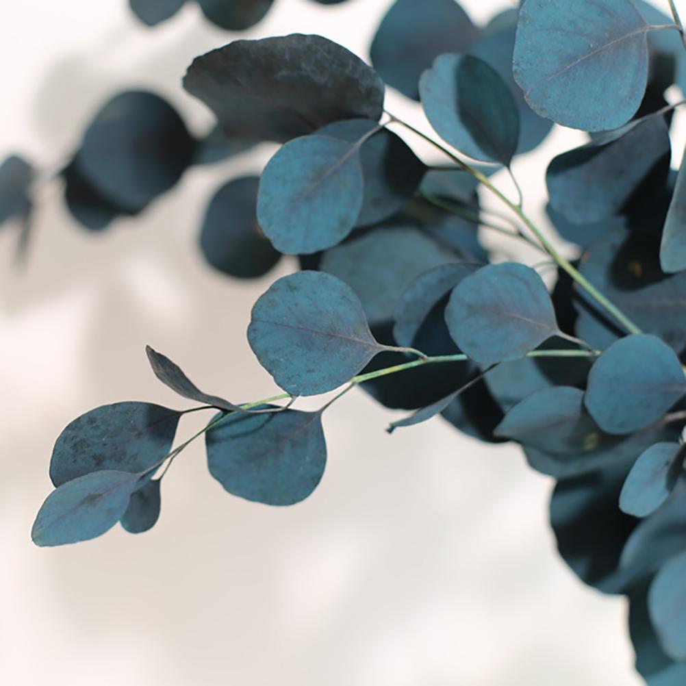 Eucalyptus Dried Flowers Eternal Durability Dried Flowers Bouquet Decoration Home Living Room Decor