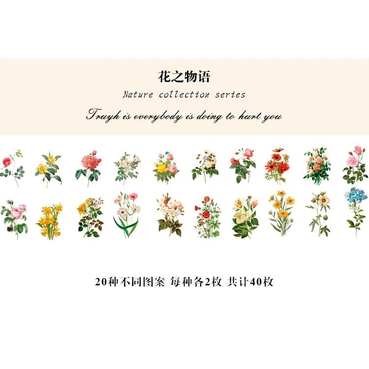 40pcs Natural Stickers Journaling Stationery Transparent PET Flowers Leaves Plants Deco Stickers