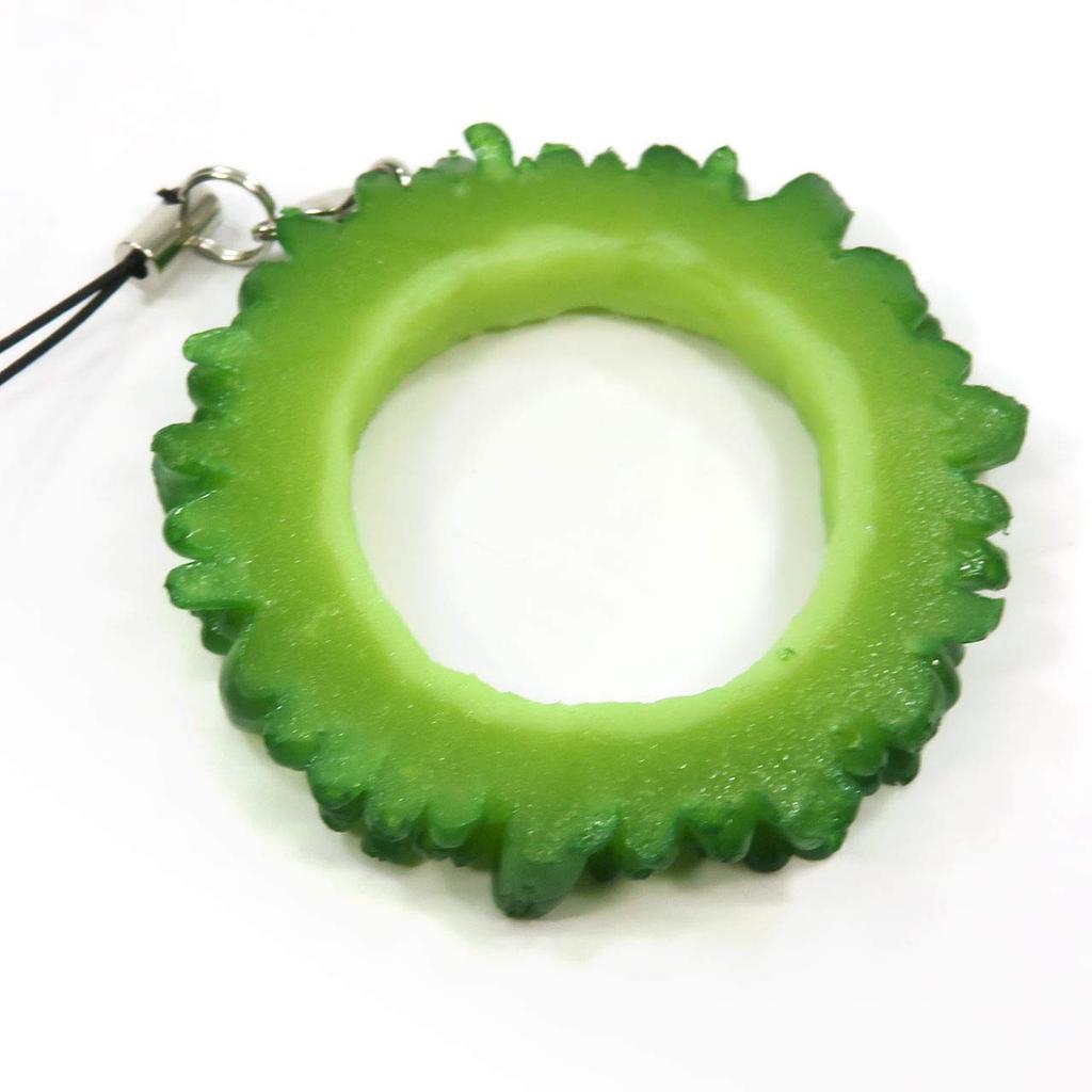 Food Sample Strap Bitter Melon that looks like it could be eaten 244OS -