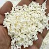 Beads Squeeze Toy Squeeze Ball Fillers 100g Crunchy Stuffing Building Blocks  Craft Accessories