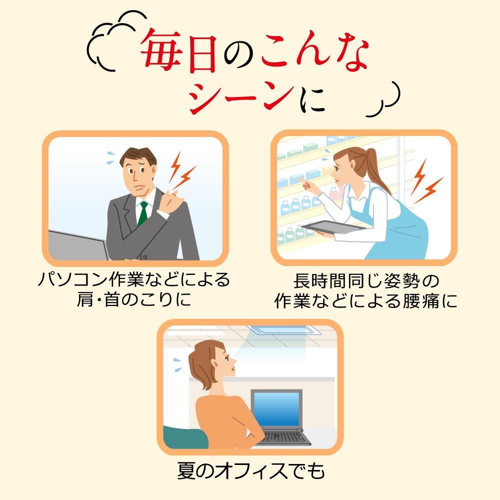 Megurism Steam Heating Sheets, Apply Directly to Skin, 8 Sheets (Menthol Included)