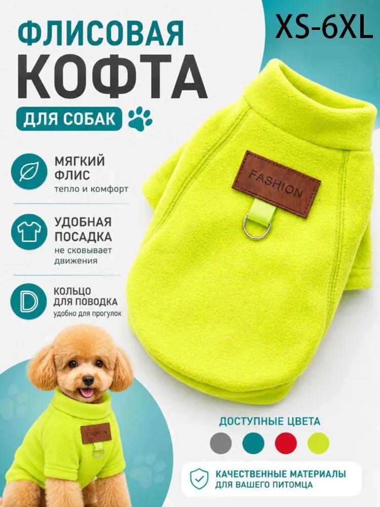 Clothes for cats and dogs