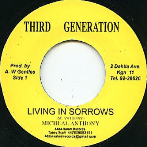 

7inch Record MICHAEL ANTHONY - Living In Sorrows / Dub none Third Generatio 2013 UK Reggae, Ska & Dub Used