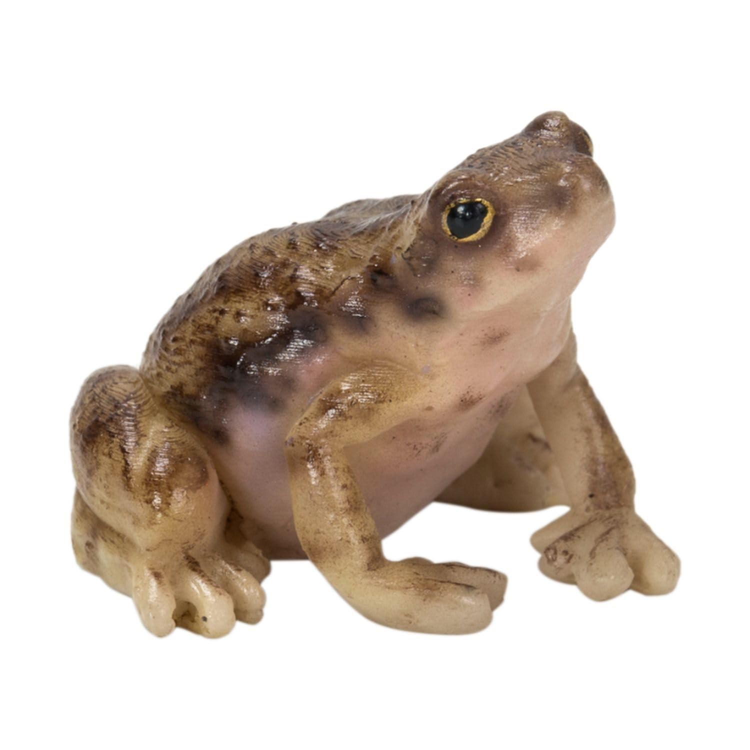 

Ubia Dwarf Frog Clip x x Doll Animal Garden Cute H20203 Holder, 3.5 3.5 2.7 cm, Figurine, Ornament, Decor, Realistic, Frog,