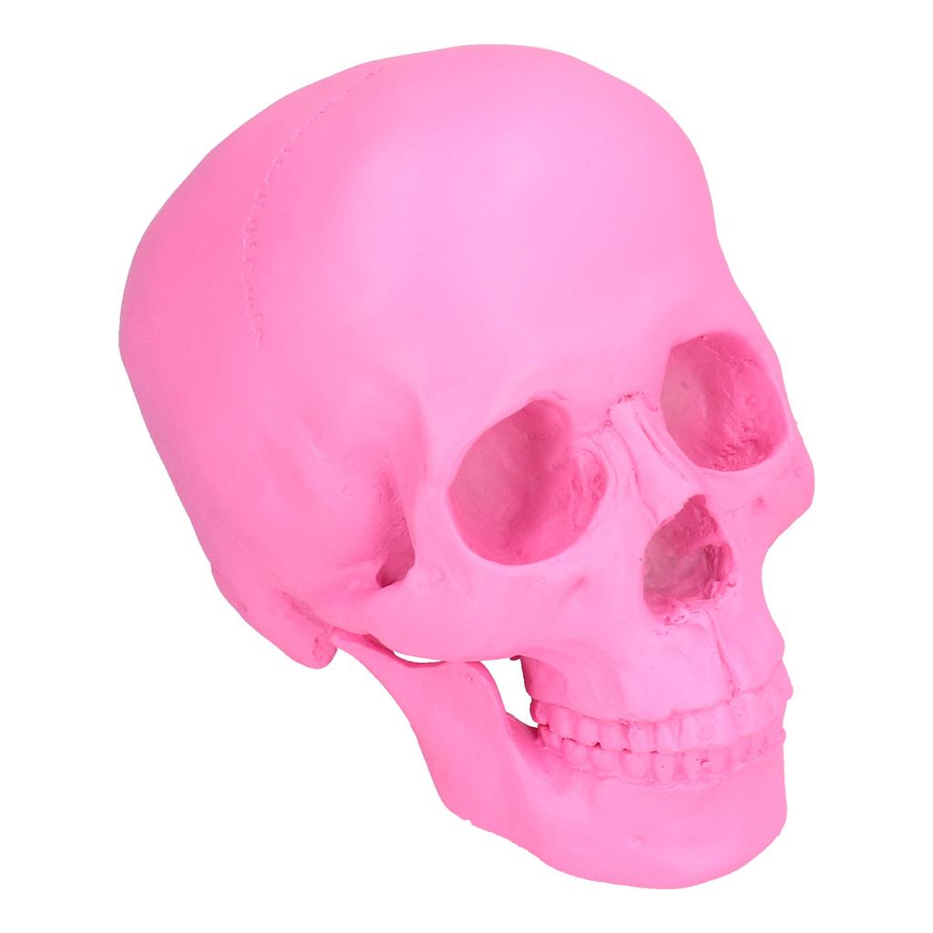 Pryskyřičná Halloweenská Dekorace Lebky Festivalové Domácí Rekvizity Falešná Celá Lebka Ozdoby Růžová