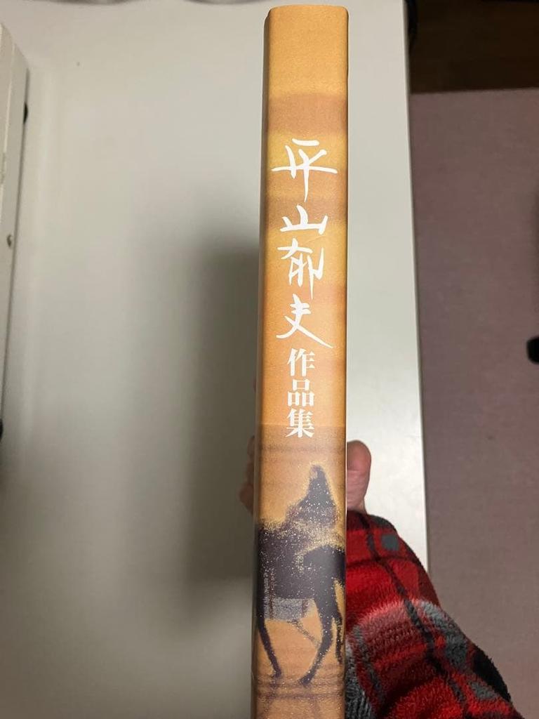 [USED] Ikuo Hirayama Collection
