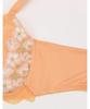 Lesiage PB2501 Full Cup Size D70 to Japanese size Wing/Wacoal Women's Bra, Orange, (equivalent L) [2500/2501 Series]
