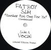 12-Zoll-Schallplatte FATBOY SLIM Another Phat One For Ya FLU002 Ohne Label Dance Electronica Gebraucht