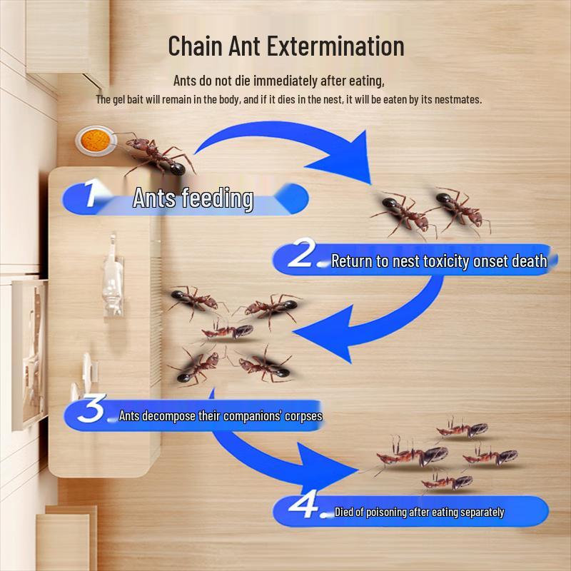 OIMG Hushållsmyrgift