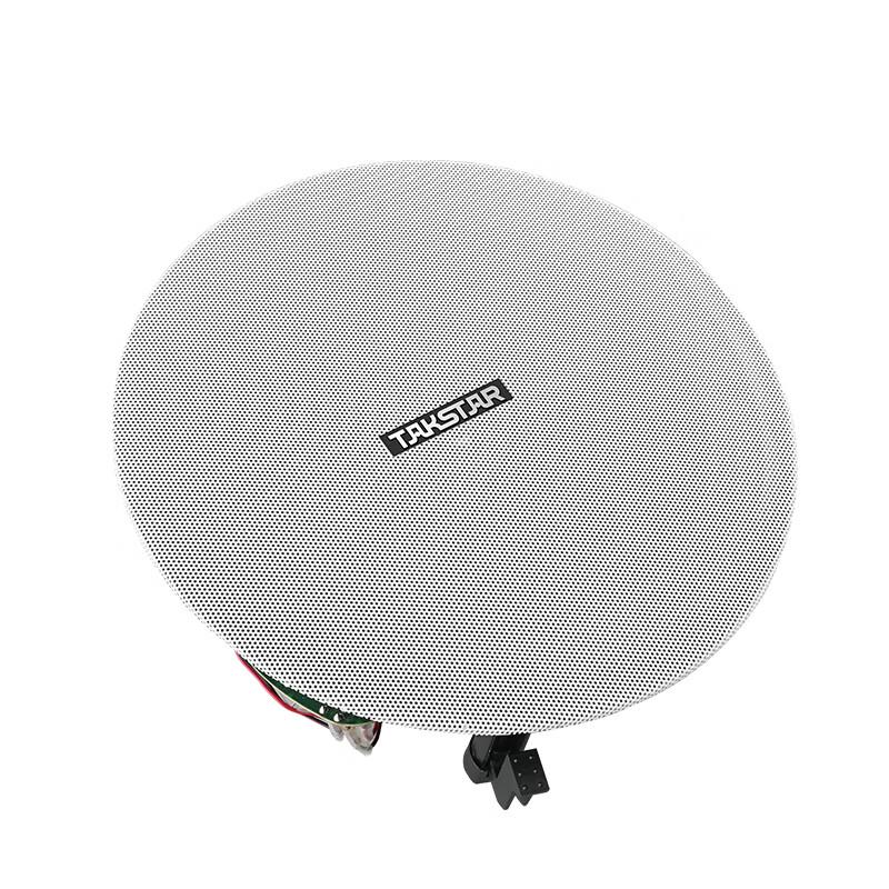 Takstar EBS-653 Fixed Resistance Ceiling Speaker CN plug (adapter included)
