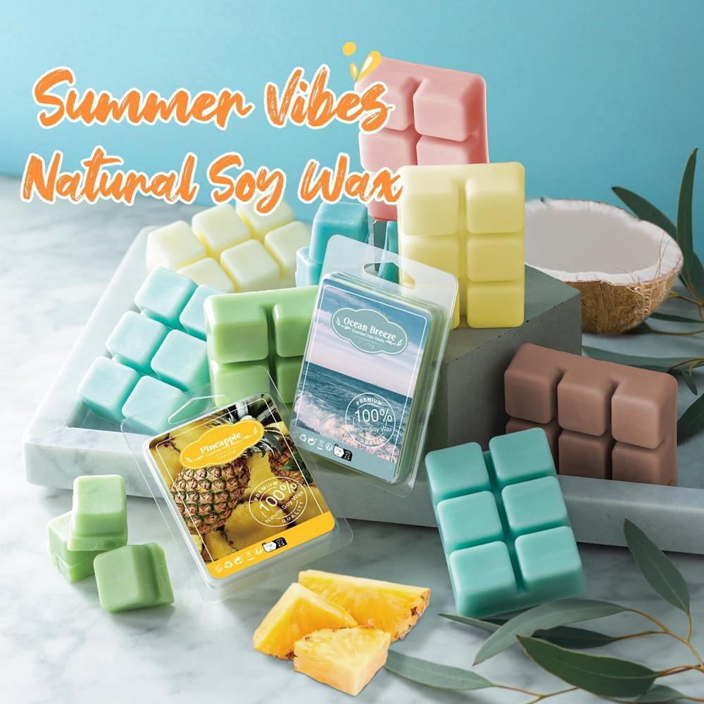 Wax Melt Molds Wax Melt Clamshells 6 Cavity Cubes Clamshells Clear Empty Plastic Cube Tray for Wickless Tarts Candles