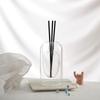 Simple Luxury Aroma Glass Vase - Muji-Inspired Essential Oil Holder