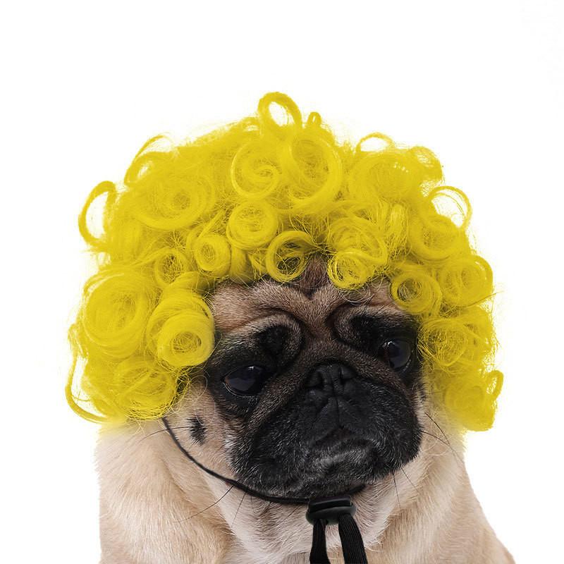 Are 10 Here Suggested Titles For The Pet Wig Product Based On The Information Provided