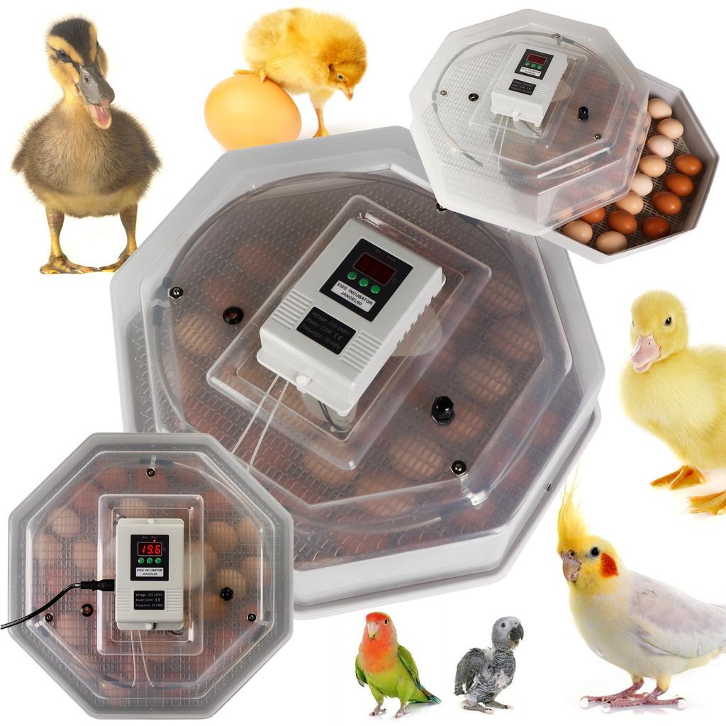 Kruger Meier Prolexor 60 Egg Incubator with Automatic Thermostat