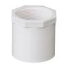 PVC Internal Thread Water Pipe Fitting