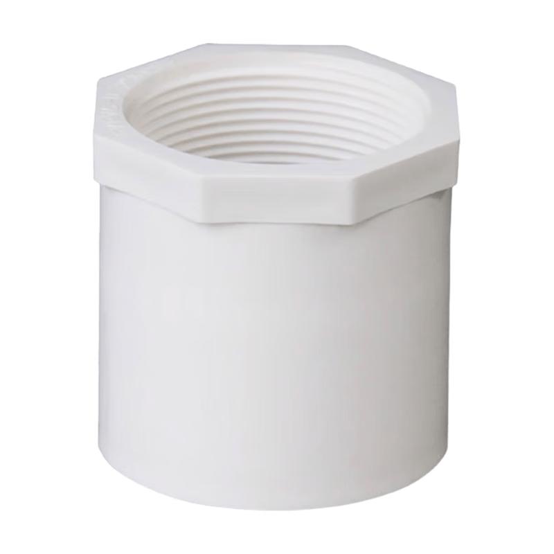 PVC Internal Thread Water Pipe Fitting