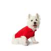 Ralph Lauren Polo Bear Cotton Mesh Dog Polo Shirt Hmpogfthr920005600
