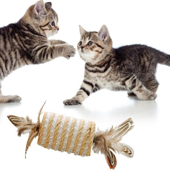 Katzenfeder-Spielzeug Eingebaute Stimme Bissfest Kratzfest Naturfedern Haustier Katze Kätzchen