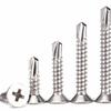 Feng Jin Zhu Stainless Steel Phillips Self-Drilling Countersunk Screws