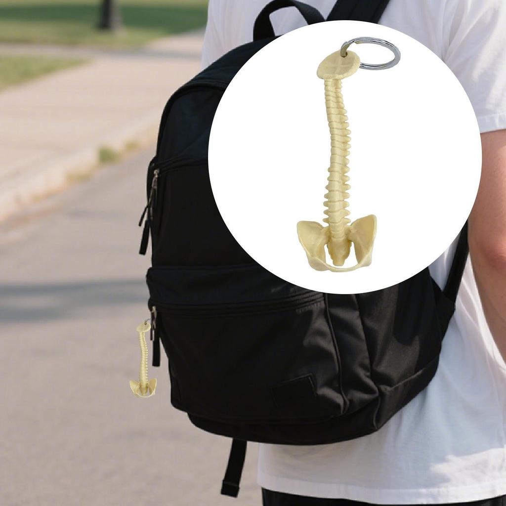 Human Spine Keychain Bag Charm PVC 15cm Handmade Small Lightweight Biology Key Pendant
