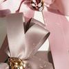 LUDE Classic Oversized Crystal Ribbon Pin