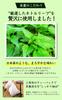 Shizen No Gochiso Wild Feast Nettle Tea Herbal Tea Caffeine-Free Tea Bags 60