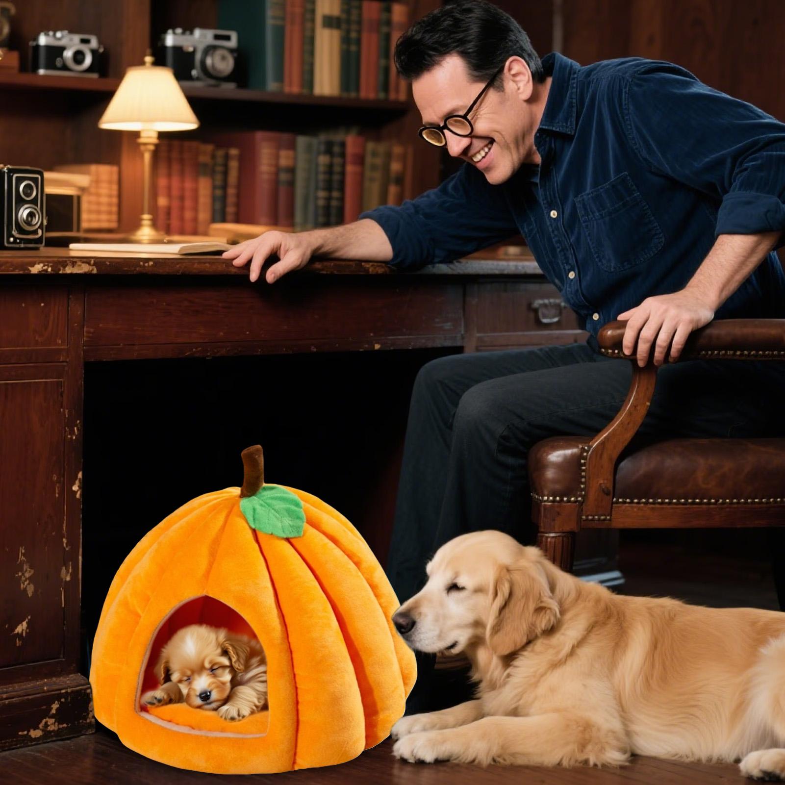 Pumpkin Dog Bed Cozy Kitten Cave