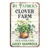 Vintage Irish Blessing Metal Poster Clover for Home Cafe Wall Art