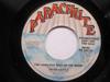 7inch Record DAVID CASTLE  The Loneliest Man On The Moon RR505DJ Parachute Recor 1977 US Pop Used