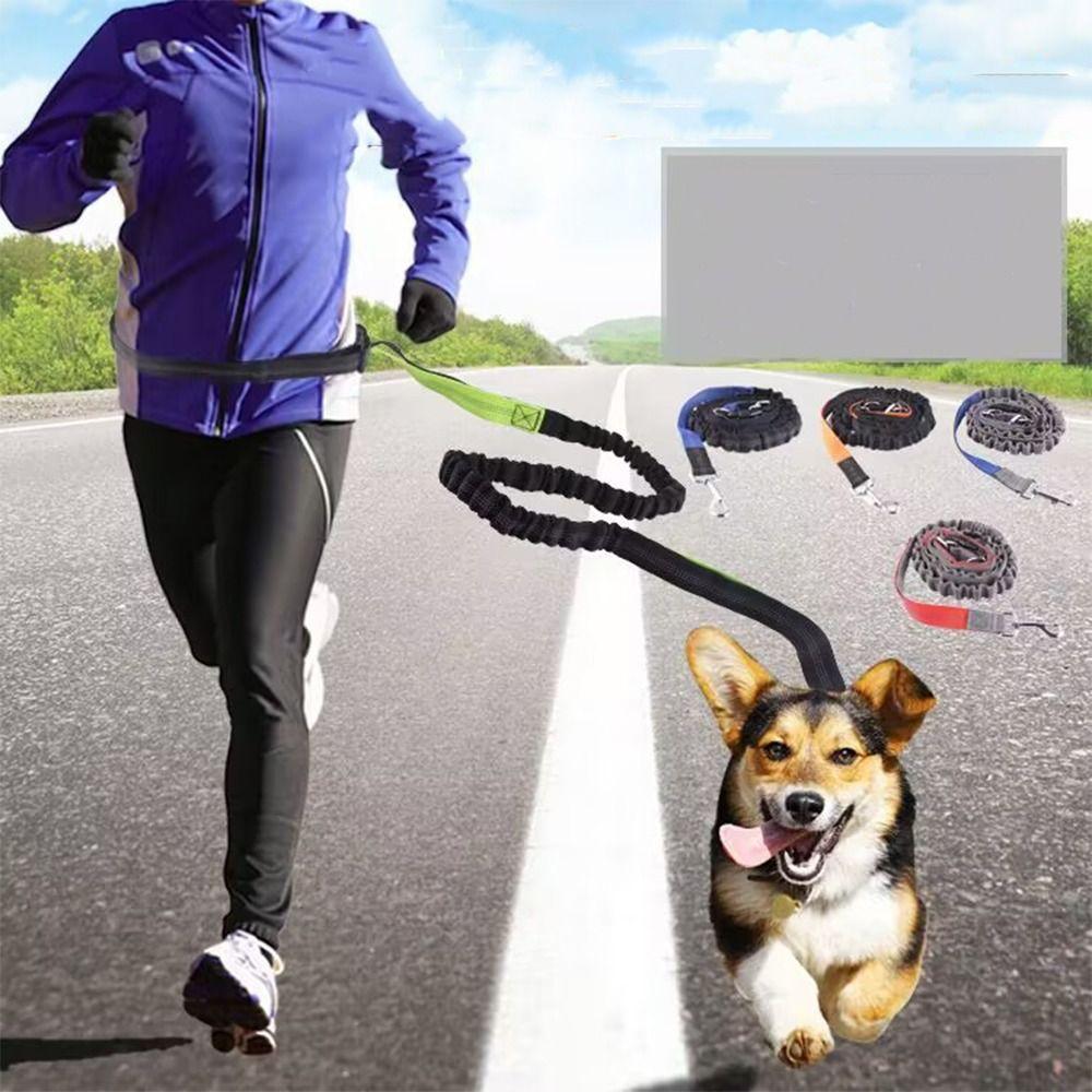 Double Stretch Running Dog Leash Reflective Dog Traction Rope Pet Walking Leash  for Dogs Cats