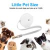 Retractable Dog Leash Automatic Freely  Puppy Cat Traction Rope Belt Dog Leash for Puppy and Kitty Pet Leash