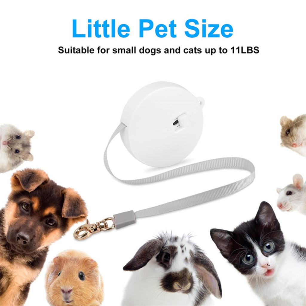 Retractable Dog Leash Automatic Freely  Puppy Cat Traction Rope Belt Dog Leash for Puppy and Kitty Pet Leash