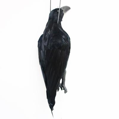 Simulation Black Crow Decoration Pendant Festival Party Horror Atmosphere Decoration Halloween Ornament Hunting Decoy