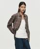 Hoite Regular Collar Marco Shirt (Brown)
