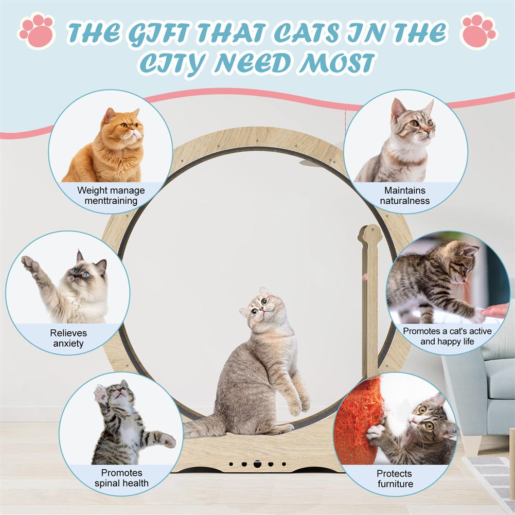 Wood Cat Exercise Wheel, Cat Treadmill With Carpeted Track, Locking Mechanism And Teasing Device Kitty Cat Sport Toy For Running