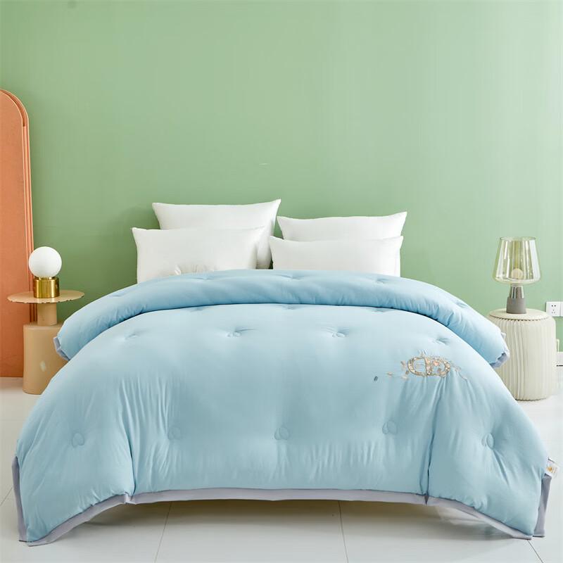 Brangdy Embroidered All-Season Soy Fiber Quilt