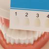 5 Buc 16 Culori Lumină Rece Albire Dentară Card Paletă de Culori Card de Comparație Consumabile de Contrast Ghid de Culoare Dentară