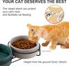 Gamelles surélevées pour chat en céramique Double gamelle pour nourriture et eau pour chat avec supports en acier pour chats chiens Anti vomissement Protection de la colonne vertébrale